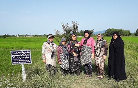 از شالیزار وقفی تا صحن عقیله(س)؛ پویش «قرار زینبی» در گیلان